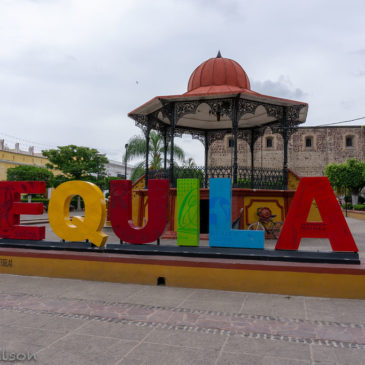 Puerto Vallarta Vacation: Day Trip to Tequila