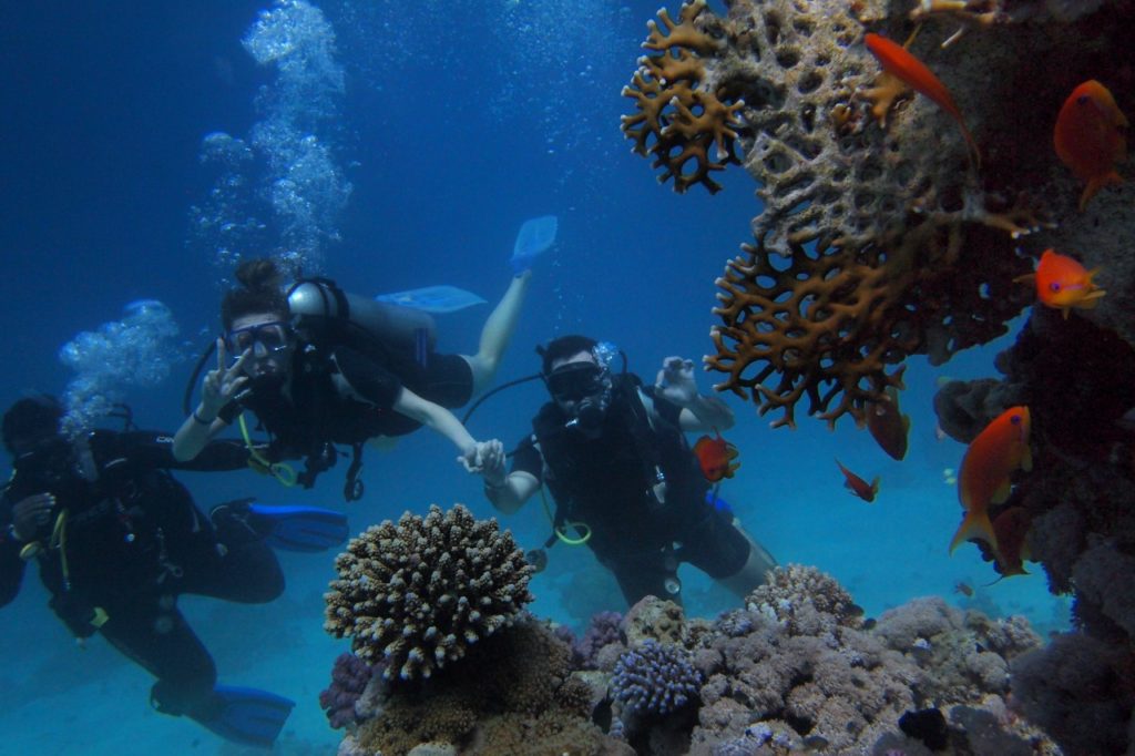 Scuba Diving Activities in Cancun